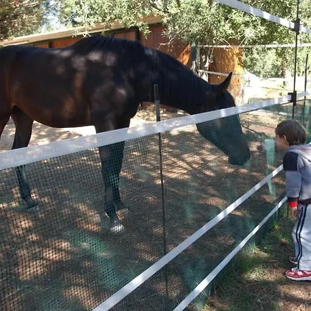 Tenuta Don Monaco - *