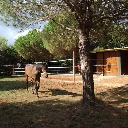 Tenuta Don Monaco - Farm stay *